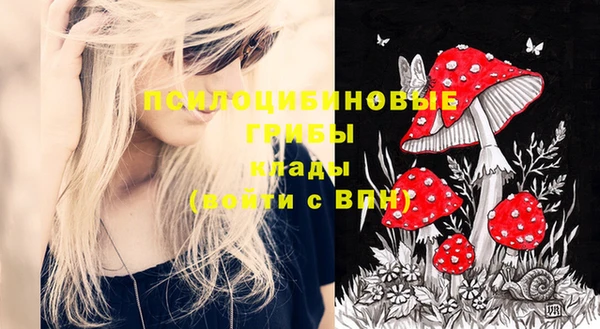 гашик Алзамай