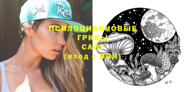 молекула духа Новодвинск