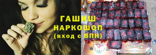 гашик Алзамай