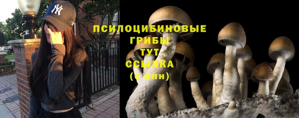 а пвп мука Алексин